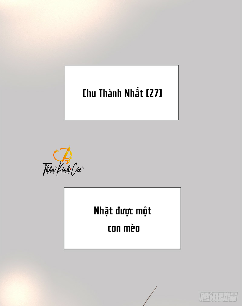 Mối Tình Đầu Gian Nan Của Chu Thành Nhất Chương 25 - Thankinhcac.top