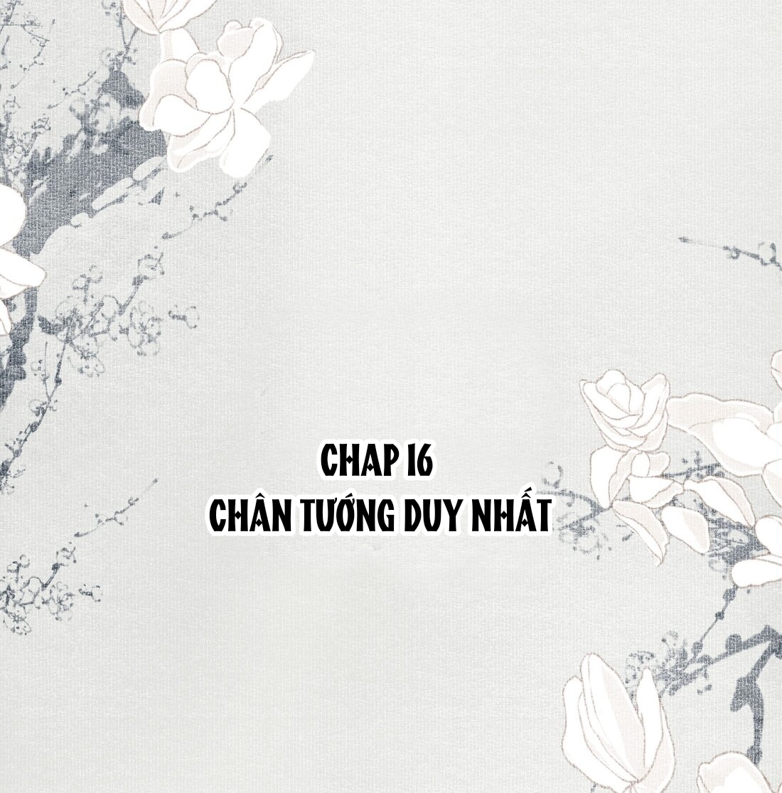 Không Cẩn Thận Cứu Phải Kẻ Thù Chung Của Giang Hồ  Chương 16 - Thankinhcac.top